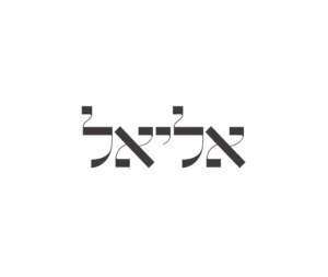 לוגו ליה פונטים - עיצוב טיפוגרפי מודרני עם אותיות בעברית