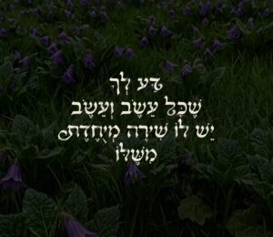 שדה פרחים סגולים עם טקסט עברי על השירה משיר השירים